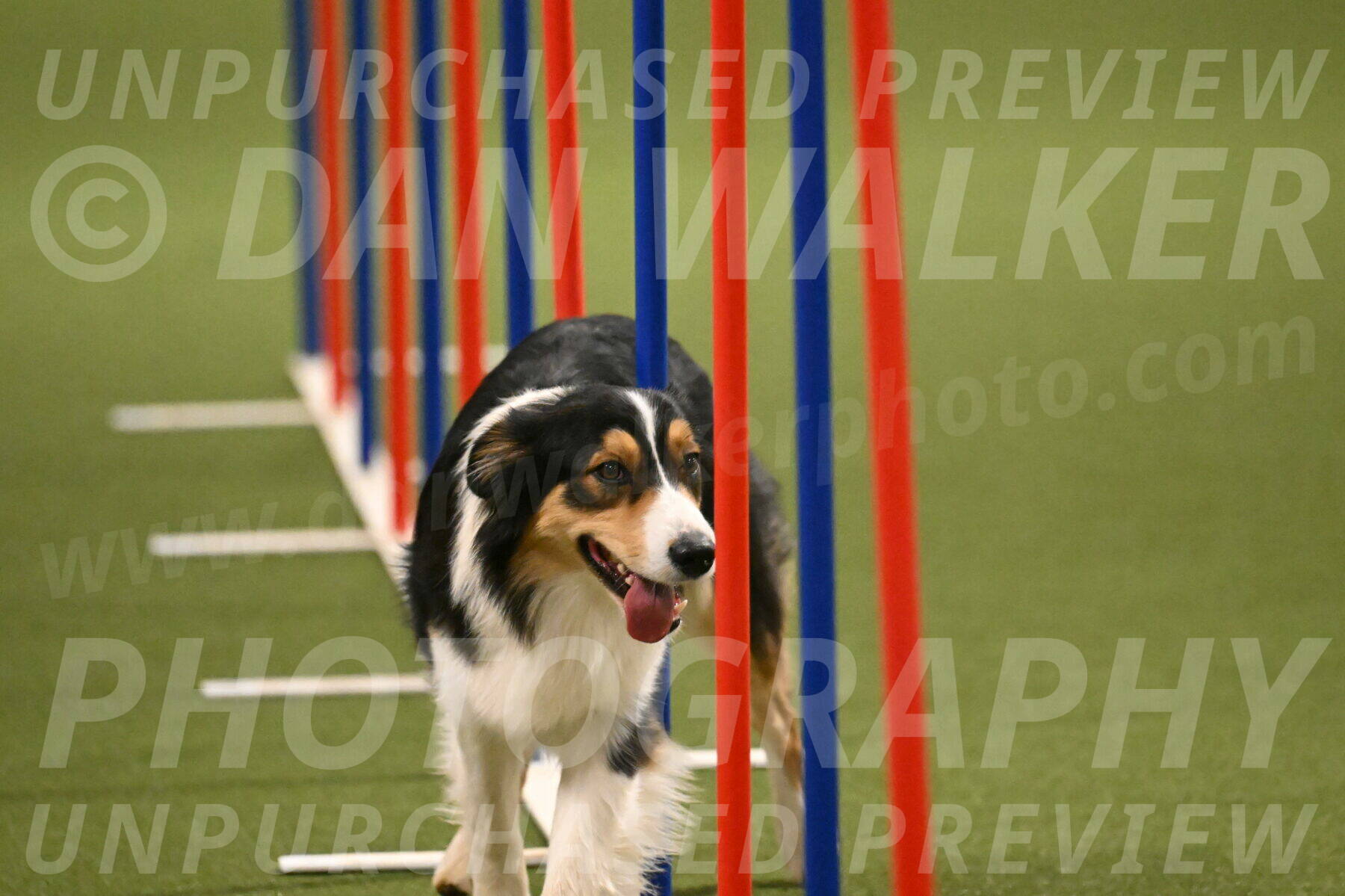 Lovey-Dovey-Yvette-Shipman-06730