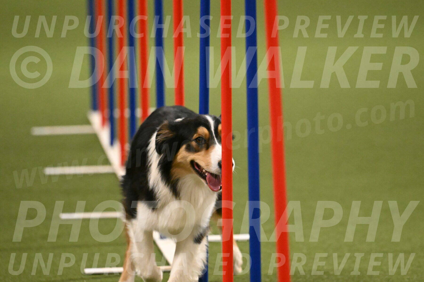 Lovey-Dovey-Yvette-Shipman-06731