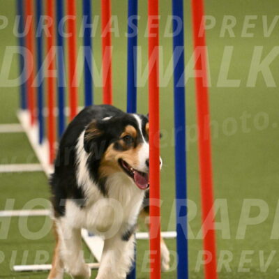 Lovey-Dovey-Yvette-Shipman-06731