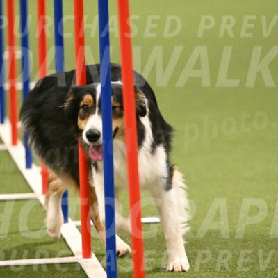 Lovey-Dovey-Yvette-Shipman-06732