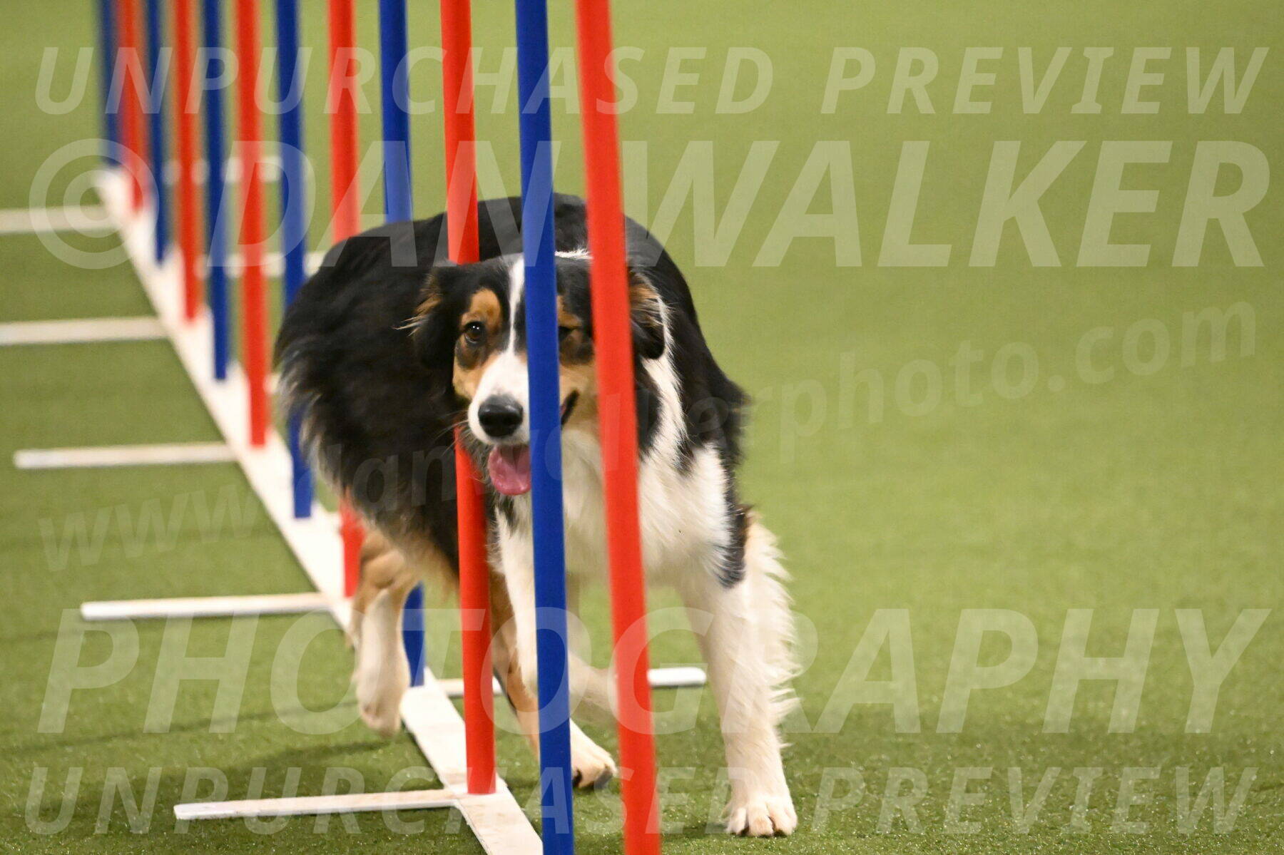 Lovey-Dovey-Yvette-Shipman-06732