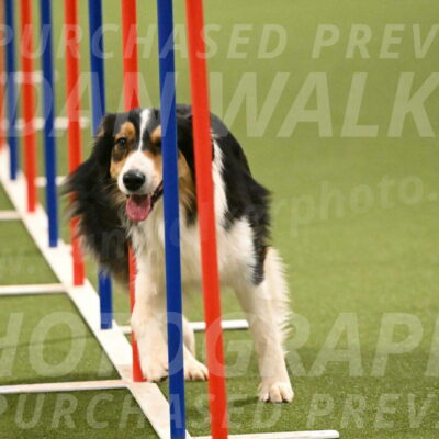 Lovey-Dovey-Yvette-Shipman-06733