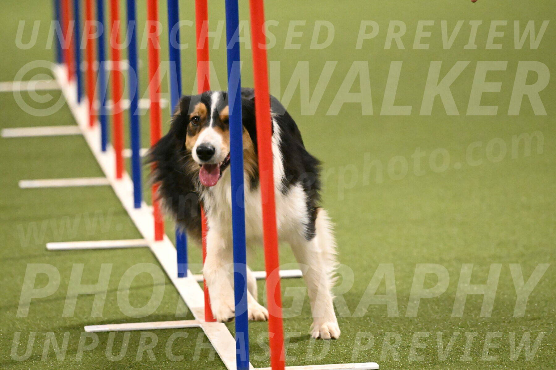 Lovey-Dovey-Yvette-Shipman-06733