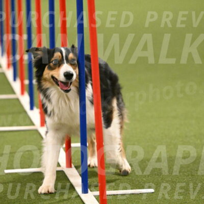 Lovey-Dovey-Yvette-Shipman-06734