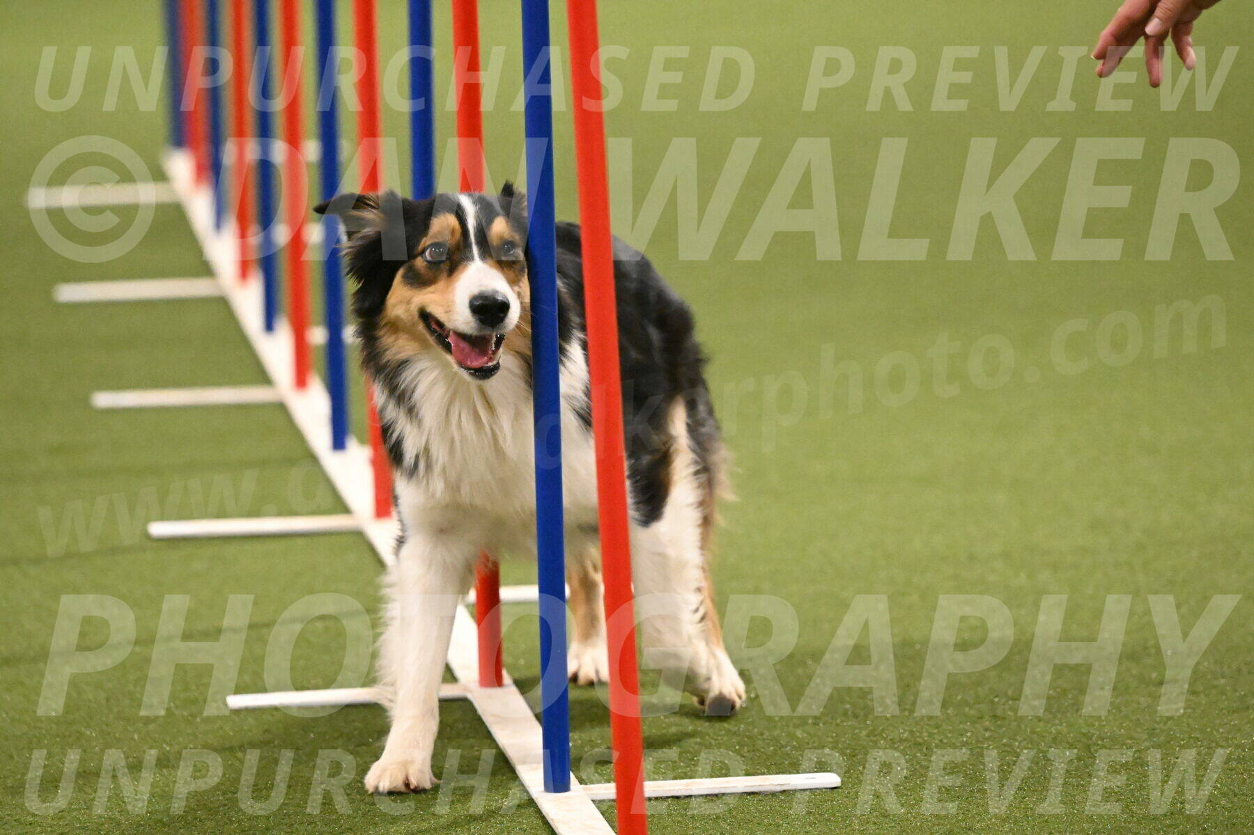 Lovey-Dovey-Yvette-Shipman-06734