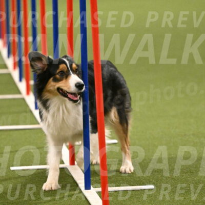 Lovey-Dovey-Yvette-Shipman-06735