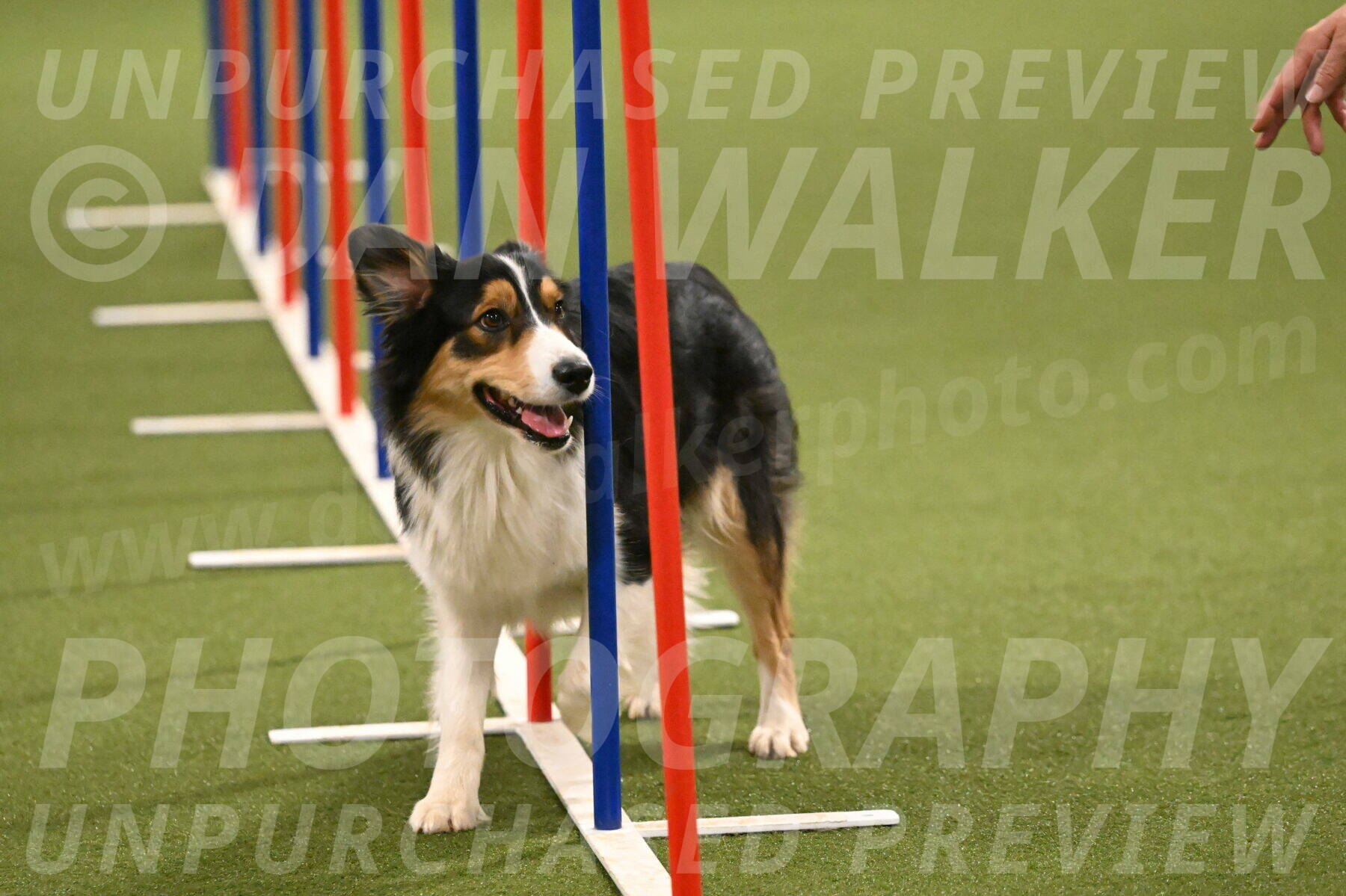 Lovey-Dovey-Yvette-Shipman-06735