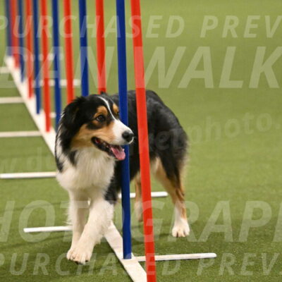 Lovey-Dovey-Yvette-Shipman-06736