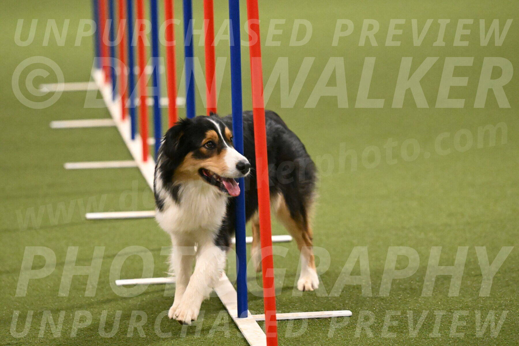 Lovey-Dovey-Yvette-Shipman-06736