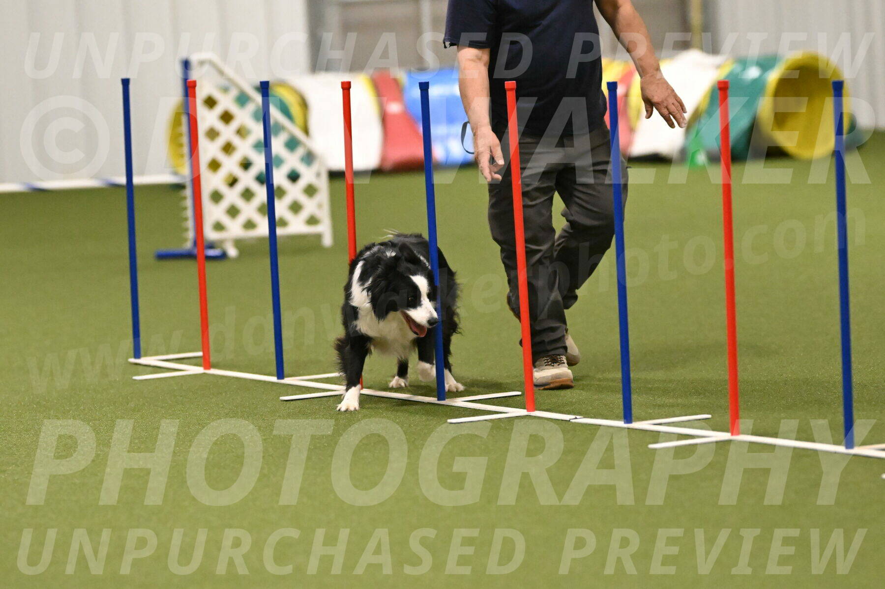 Lupo-Dominic-LoGalbo-06738