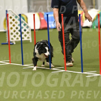 Lupo-Dominic-LoGalbo-06738