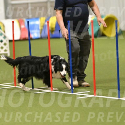 Lupo-Dominic-LoGalbo-06739