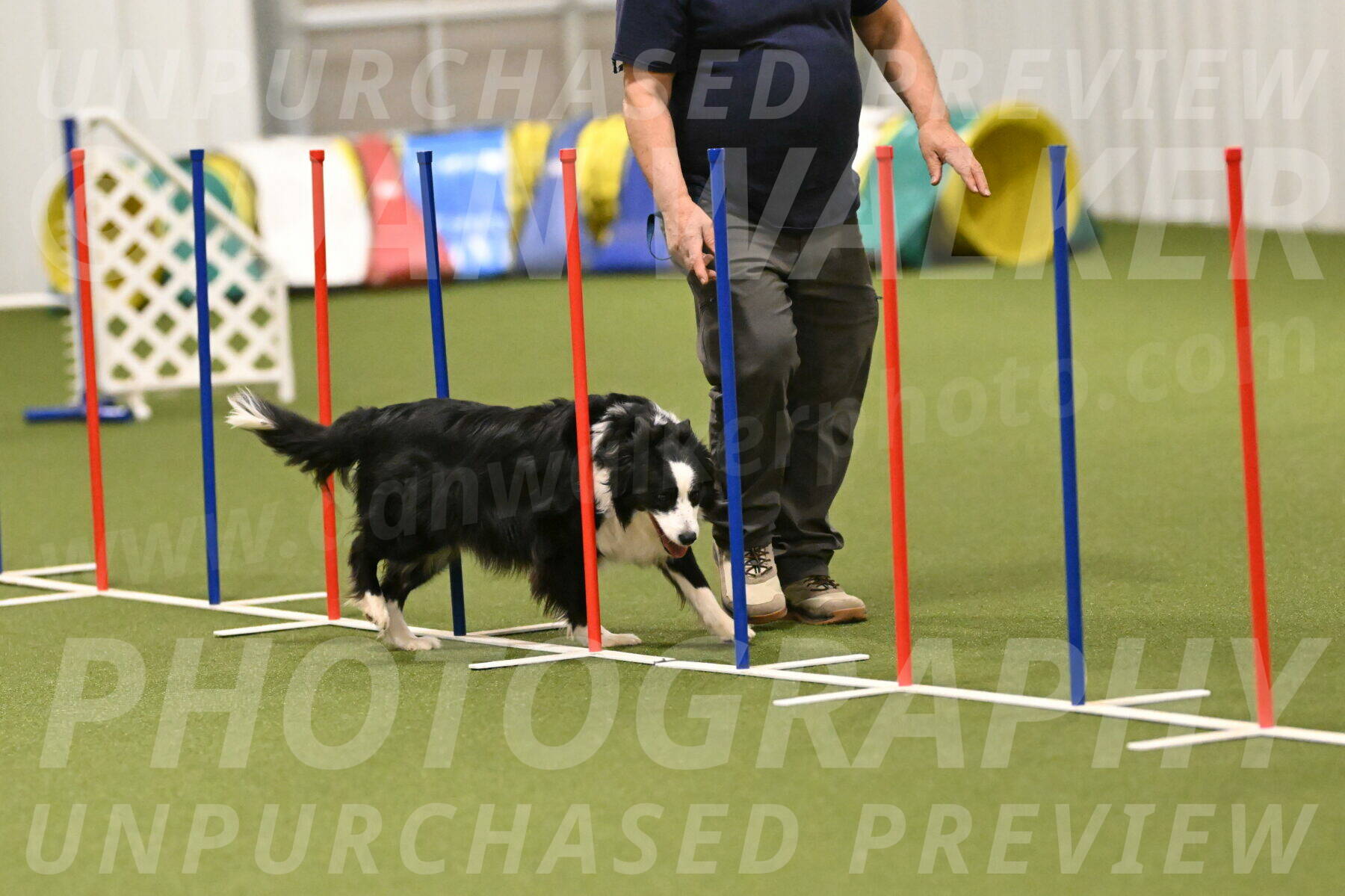 Lupo-Dominic-LoGalbo-06739