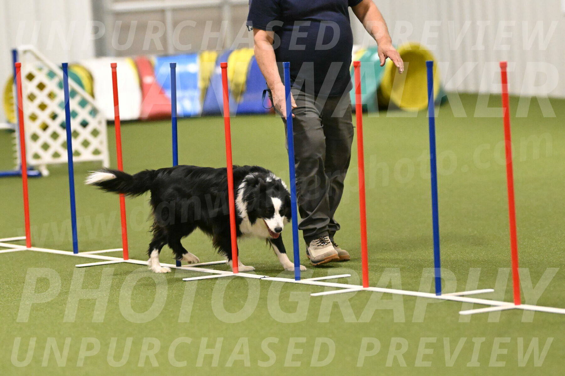 Lupo-Dominic-LoGalbo-06740