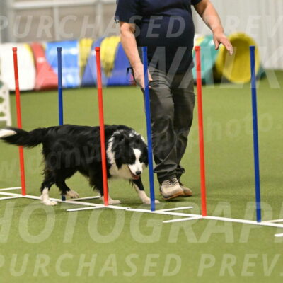 Lupo-Dominic-LoGalbo-06740