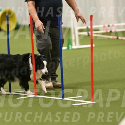 Lupo-Dominic-LoGalbo-06741