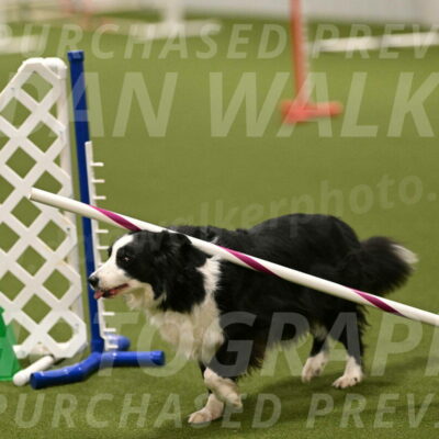 Lupo-Dominic-LoGalbo-06743