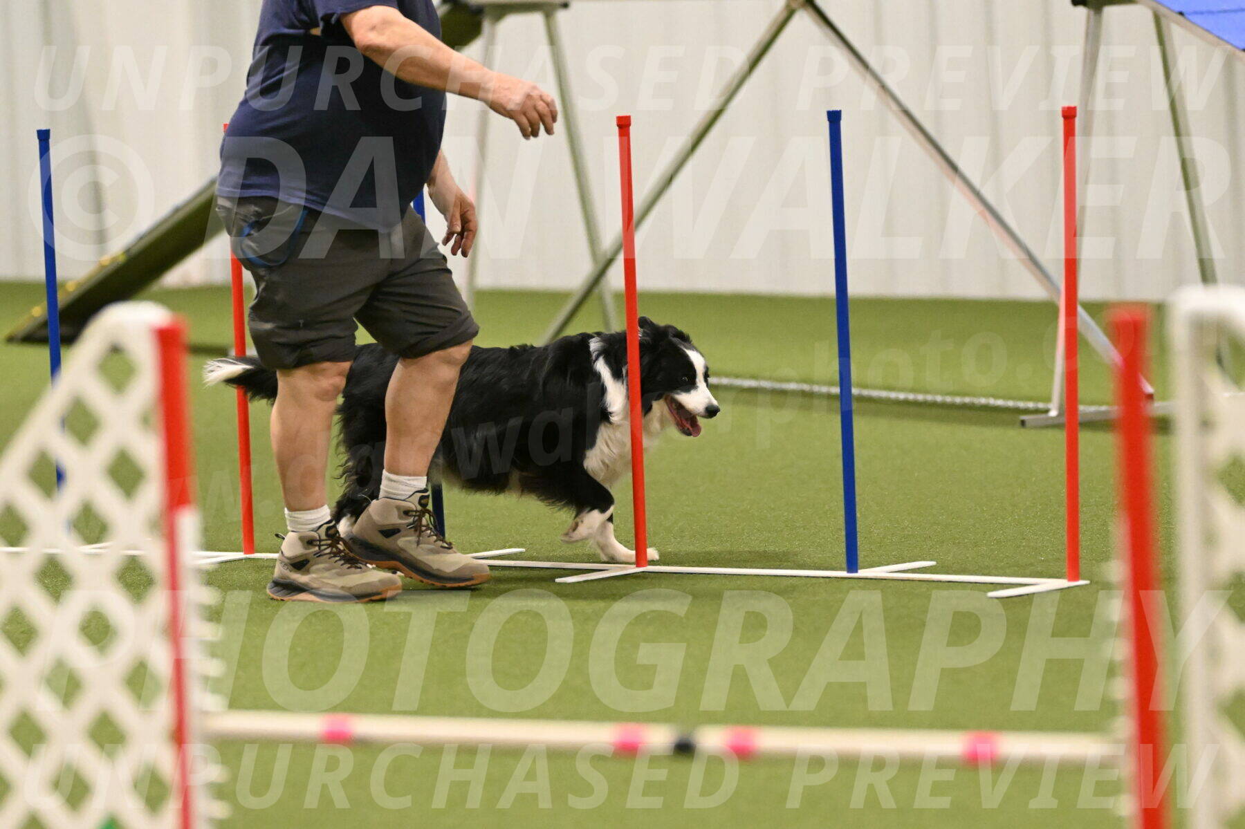Lupo-Dominic-LoGalbo-06748