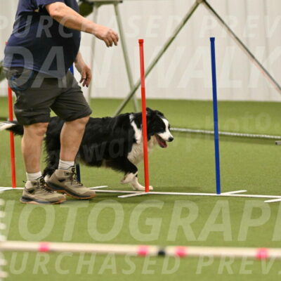 Lupo-Dominic-LoGalbo-06748