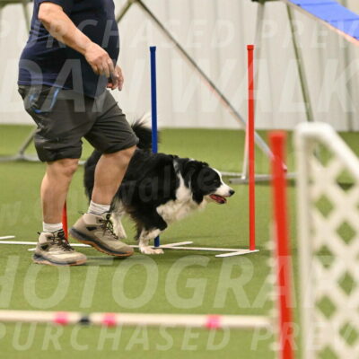 Lupo-Dominic-LoGalbo-06749