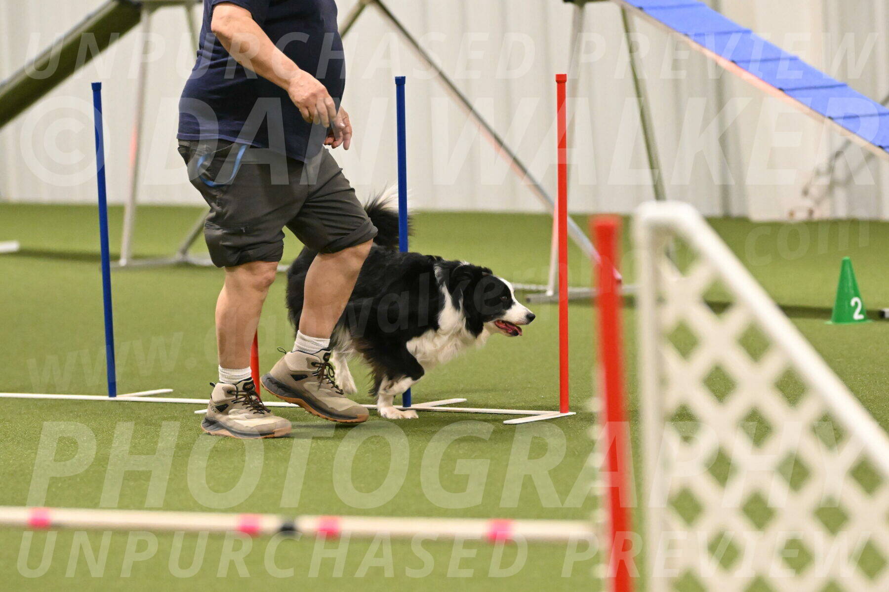 Lupo-Dominic-LoGalbo-06749