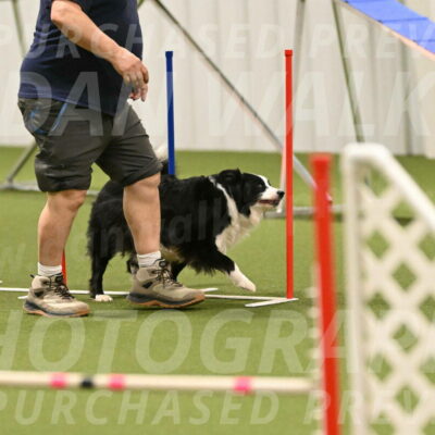 Lupo-Dominic-LoGalbo-06750