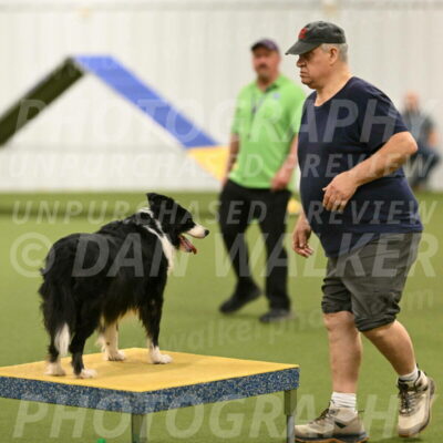 Lupo-Dominic-LoGalbo-06754