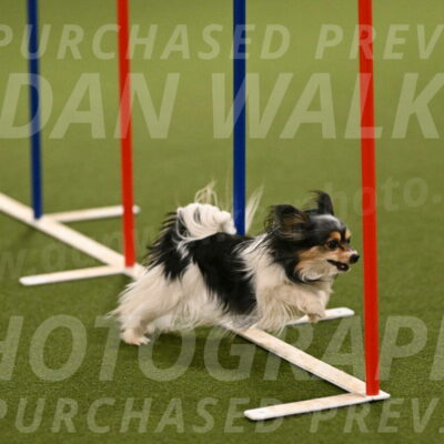 Maeve-Deborah-A-Scheel-08650