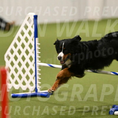 Margo-Julia-Airgood-09511