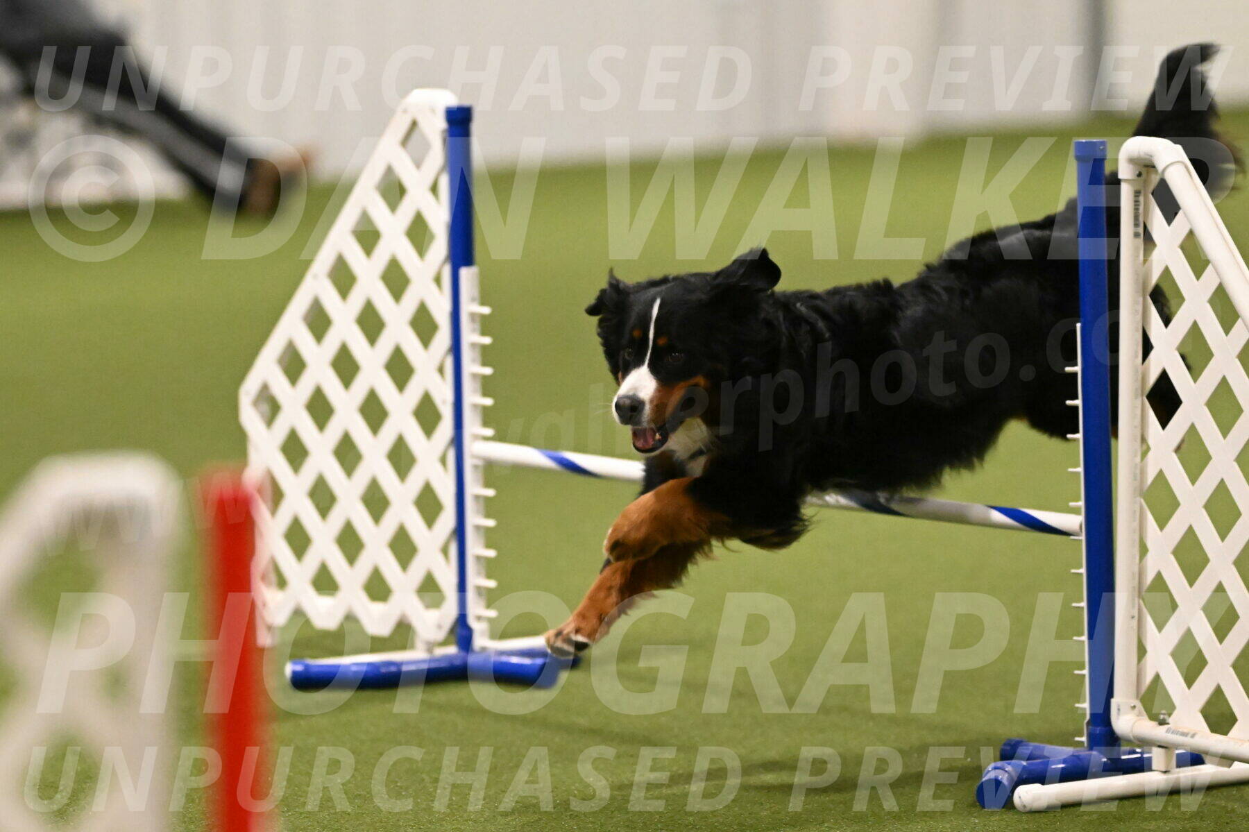 Margo-Julia-Airgood-09511