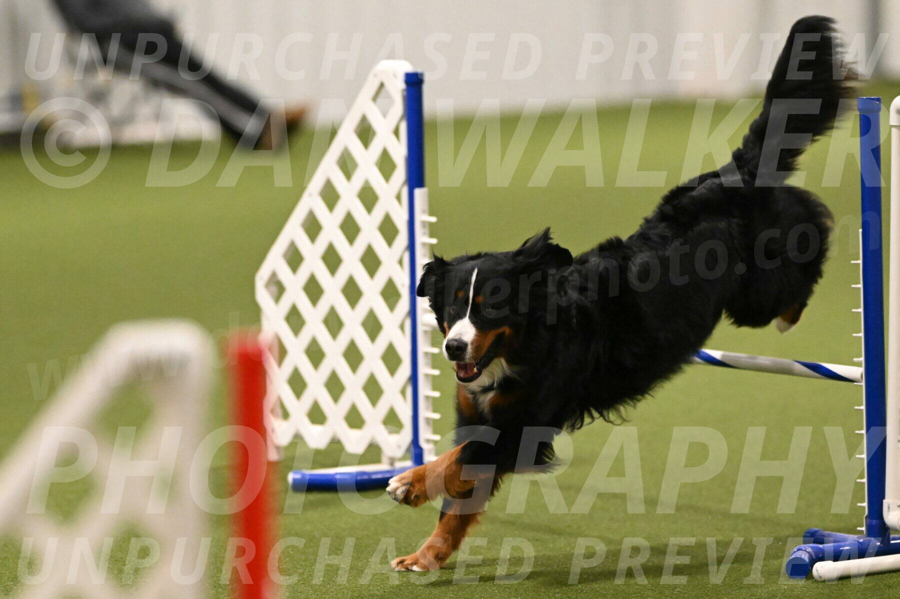 Margo-Julia-Airgood-09512