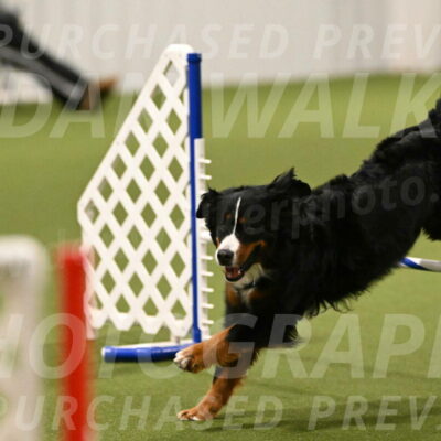 Margo-Julia-Airgood-09512