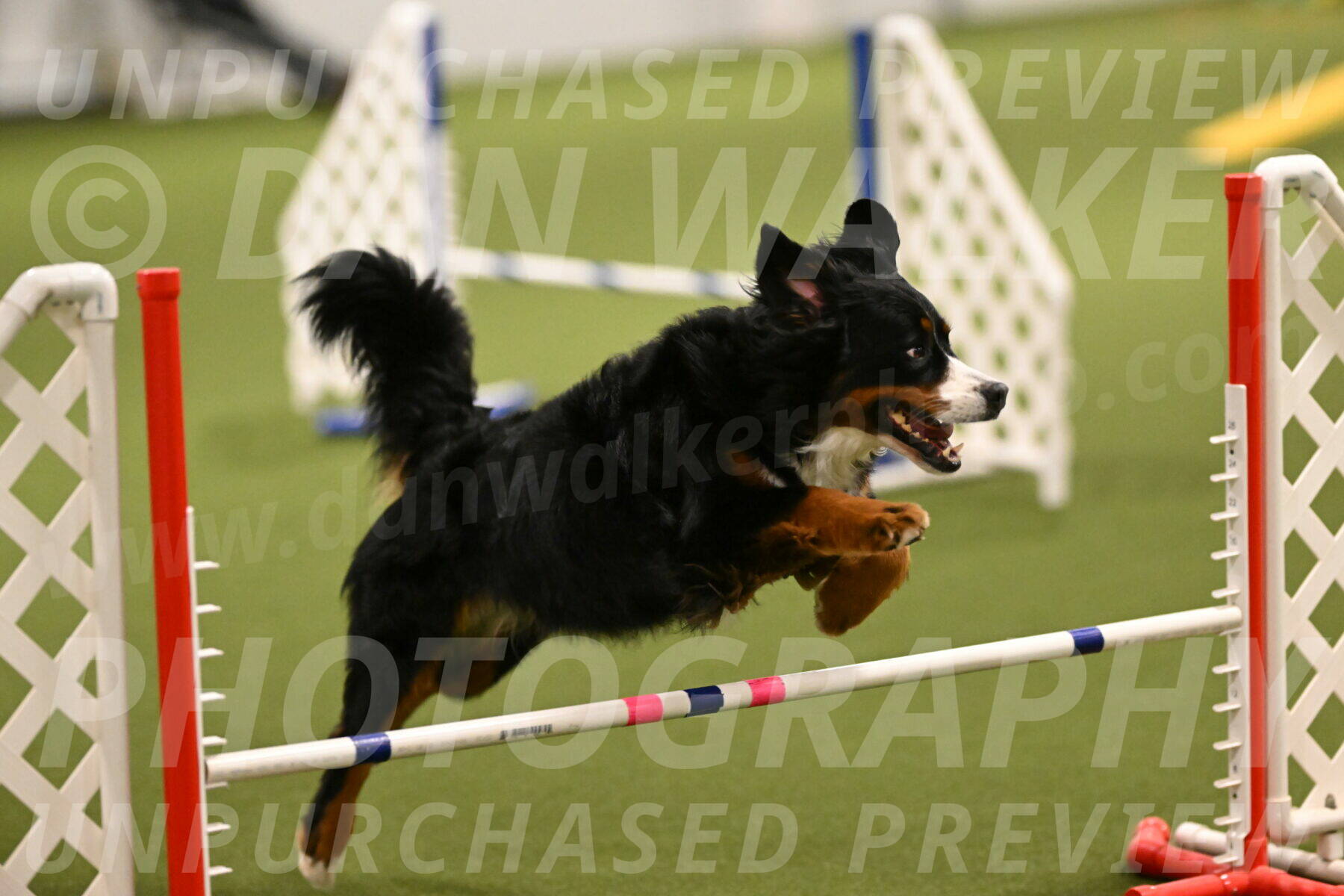 Margo-Julia-Airgood-09513