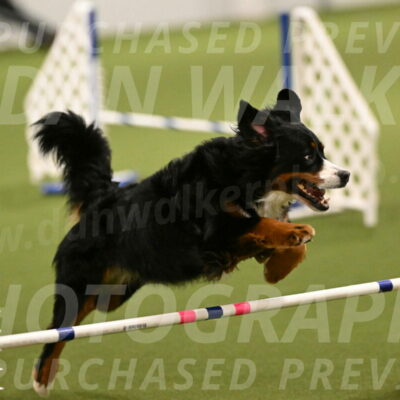 Margo-Julia-Airgood-09513