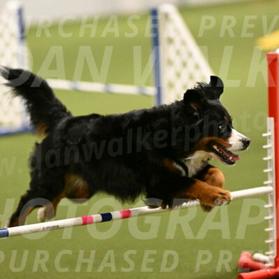 Margo-Julia-Airgood-09514