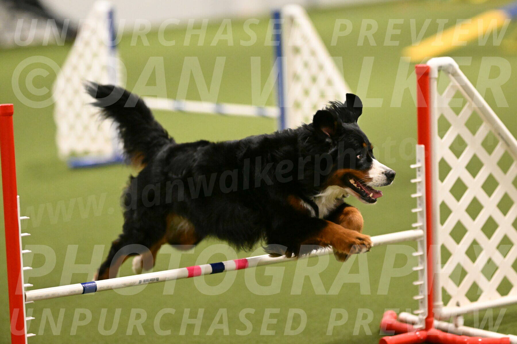 Margo-Julia-Airgood-09514