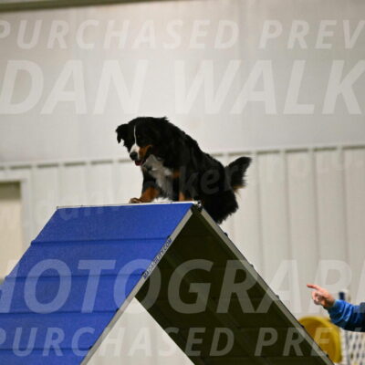 Margo-Julia-Airgood-09515