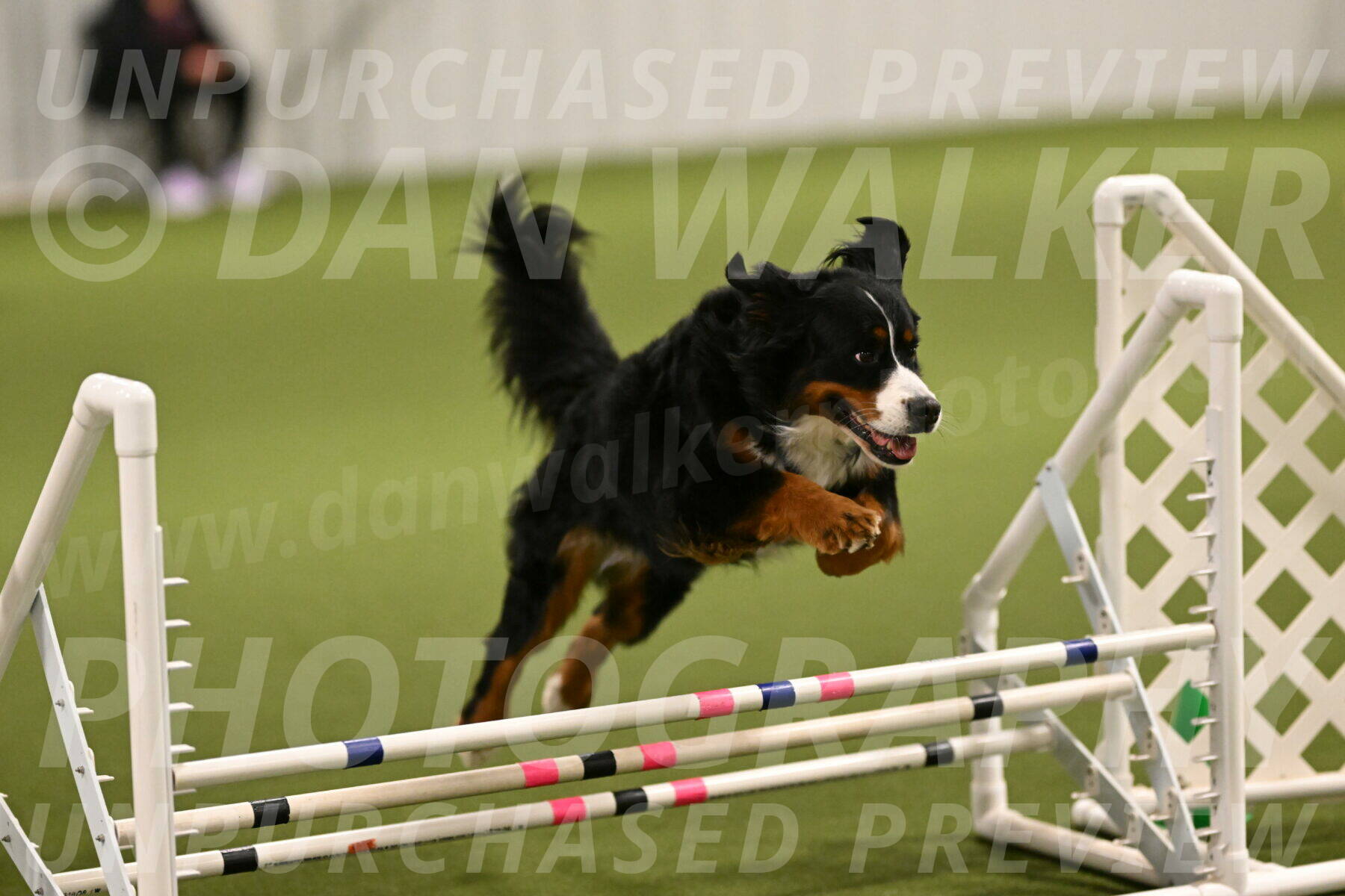 Margo-Julia-Airgood-09516