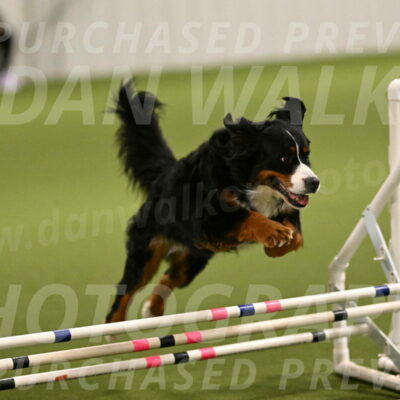 Margo-Julia-Airgood-09516