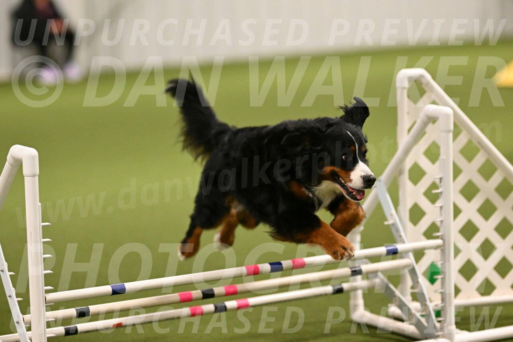 Margo-Julia-Airgood-09517