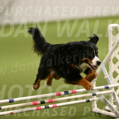 Margo-Julia-Airgood-09517