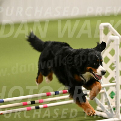 Margo-Julia-Airgood-09518