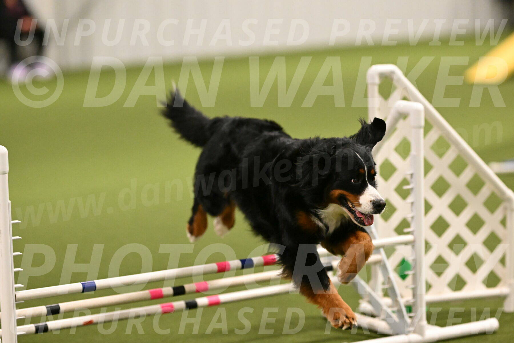 Margo-Julia-Airgood-09518