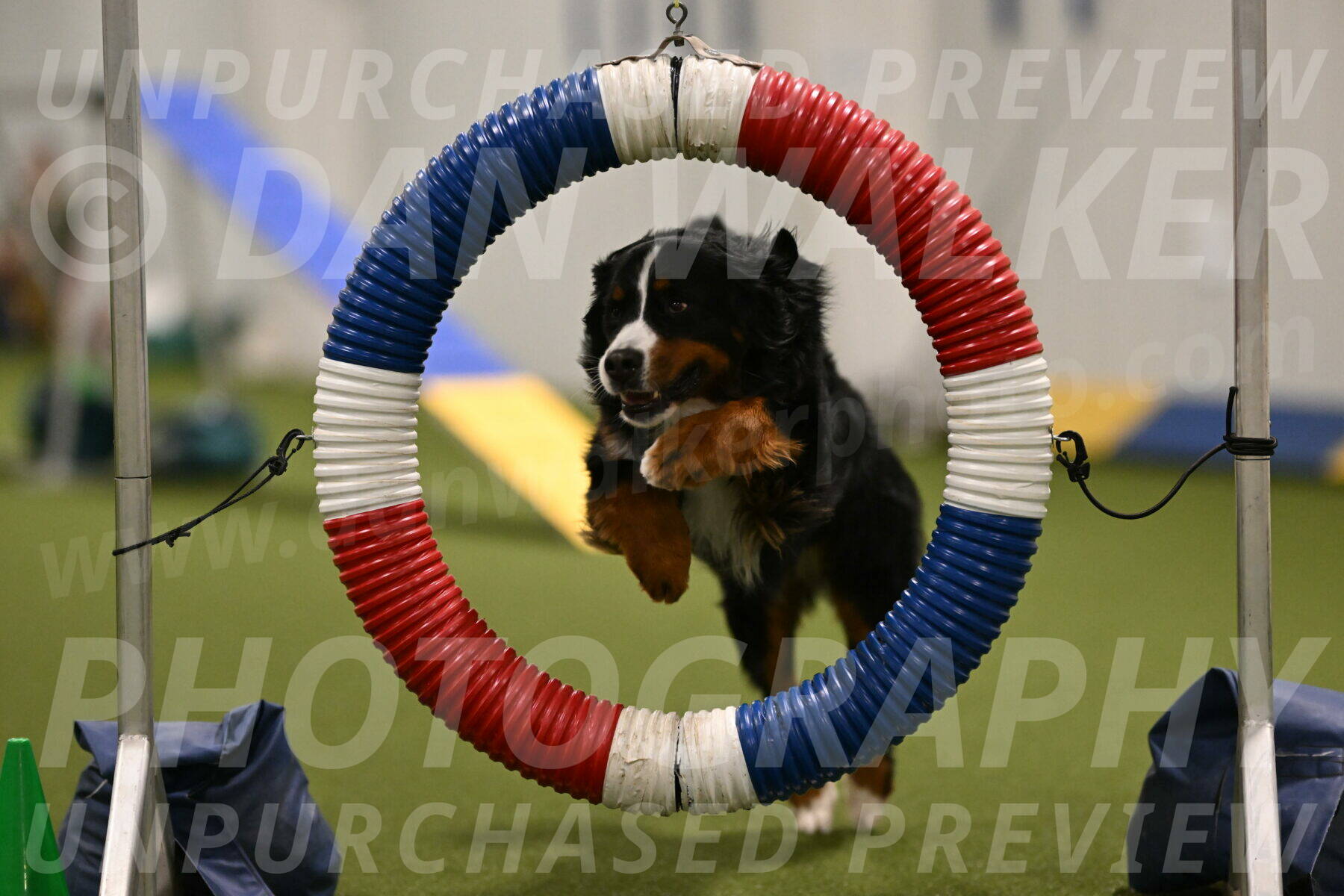 Margo-Julia-Airgood-09519