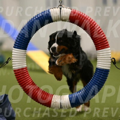 Margo-Julia-Airgood-09519