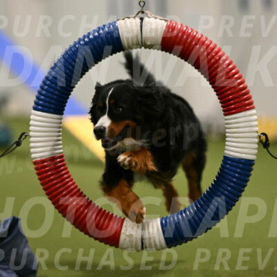 Margo-Julia-Airgood-09520