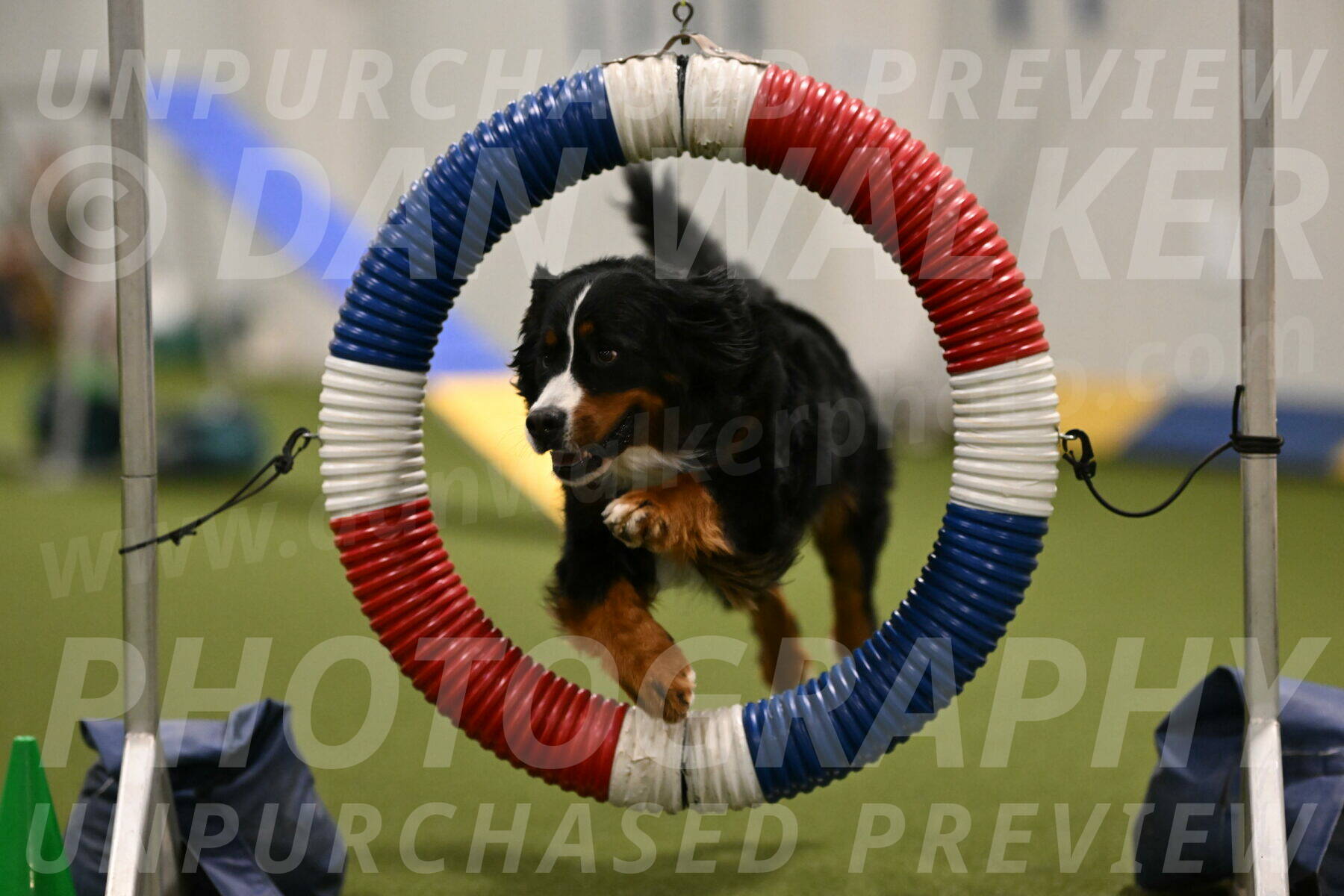 Margo-Julia-Airgood-09520