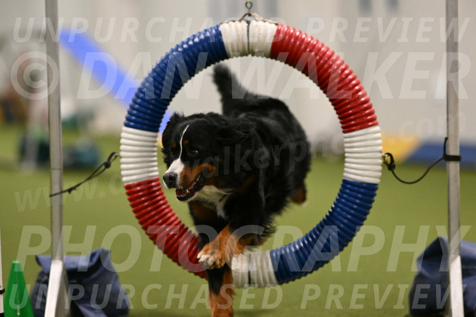 Margo-Julia-Airgood-09521