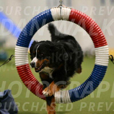 Margo-Julia-Airgood-09521