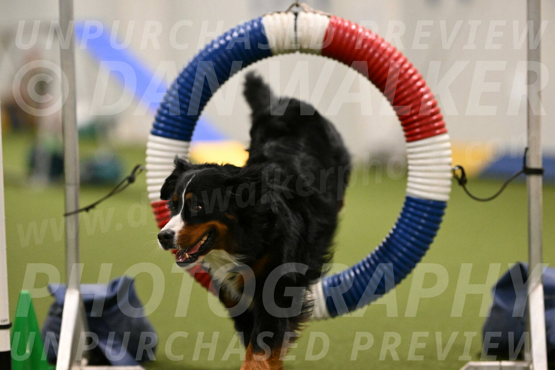 Margo-Julia-Airgood-09522